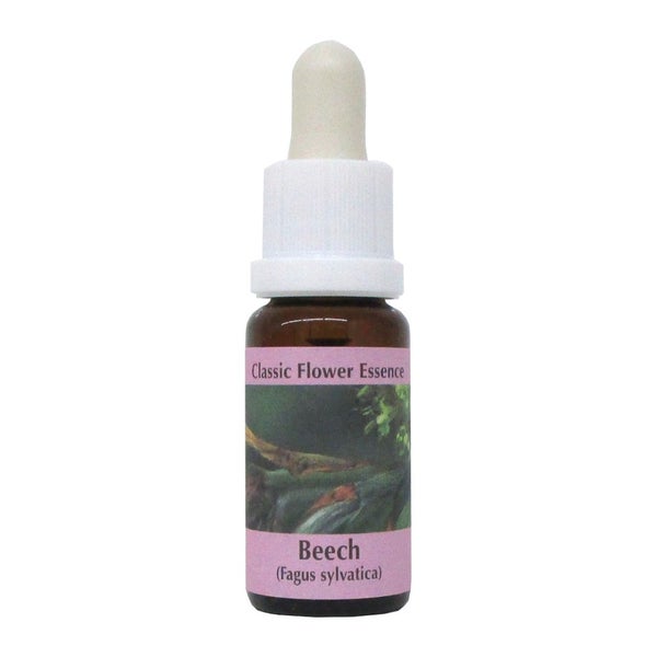 PHI Essences - Beech Bachblüte Nr. 3 – 1 St