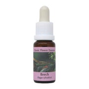 PHI Essences - Beech Bachblüte Nr. 3 - 1 St