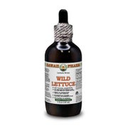 Wilder Lattich Alkoholfrei Flüssigextrakt 1 St
