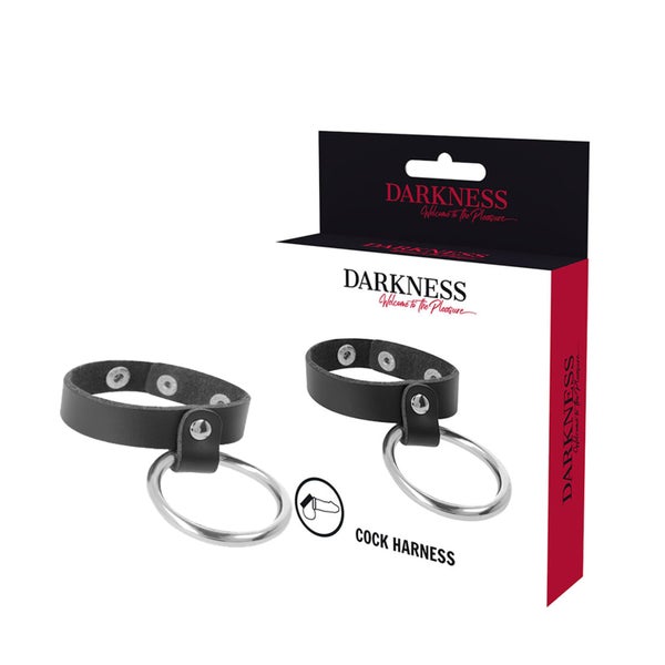 Darkness - Penis- und Hodenring  Metallring für Ausdauer 1 St
