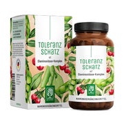 Diaminoxidase-Komplex für Histaminintoleranz mit Quercetin und Vitamin C - HIT DAO Komplex - TOLERANZSCHATZ - 60 vegane Kapseln - NATURTREU® 60 St