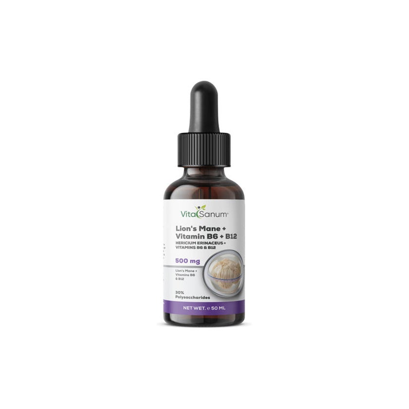 VitaSanum® Lion's Mane + Vitamin B6 + B12 Liquid – 3 ml Tagesportion ...