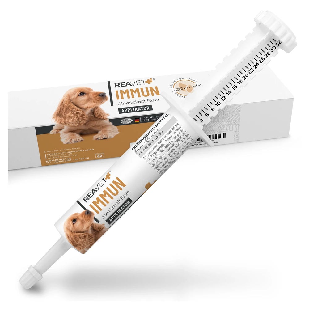 Immun Abwehrkraft Paste 30 ml