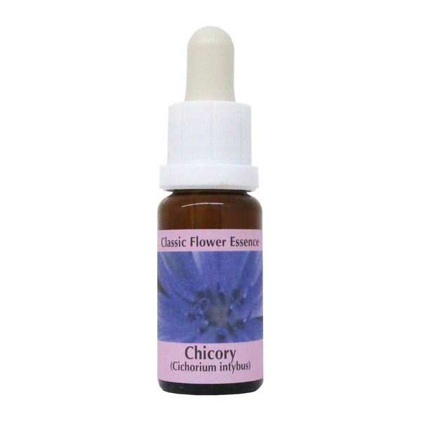 PHI Essences – Chicory  Bachblüte Nr. 8 – 1 St