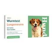 Lungenwurmtest Hund 1 St