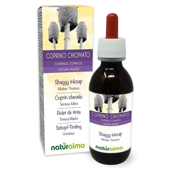 Naturalma Schopf-Tintling Coprinus comatus  Flüssig Extrakt 120 ml