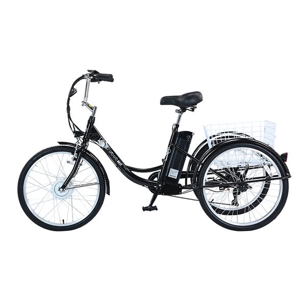 Gogobest GF100 Elektrisches Lastendreirad mit 36V 15Ah Akku 1 St