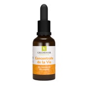 GREENDOOR Concentrate de la Vie Sanddorn 30 ml