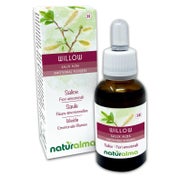 Naturalma Weide Salix alba var. vitellina Tropfen 30 ml