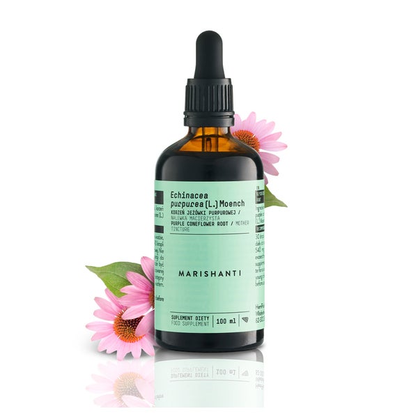 Echinacea Wurzel Extrakt Tropfen Alkoholfrei 100 ml