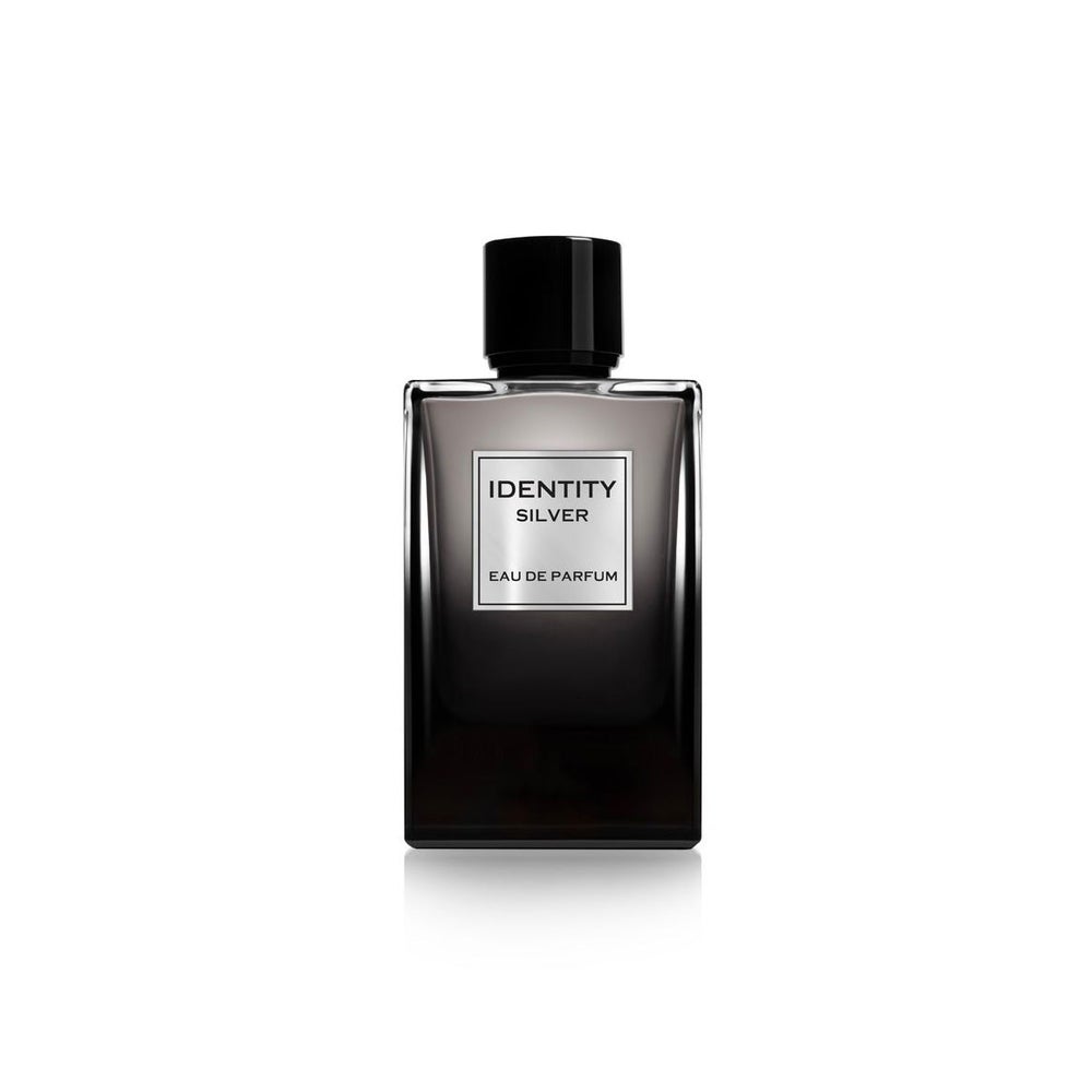 Ga-De Identity Silver Pour Homme Edp 100 ml
