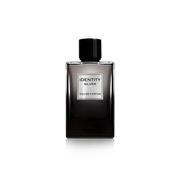 Ga-De Identity Silver Pour Homme Edp 100 ml
