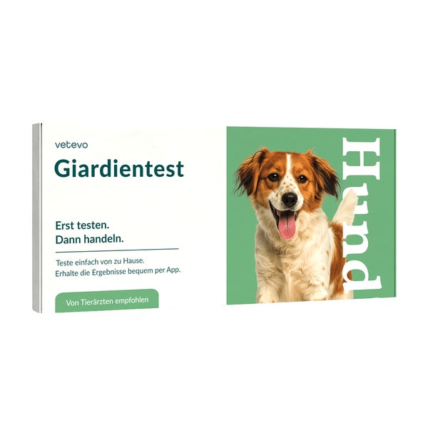 Giardientest Hund 1 St