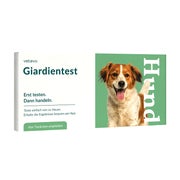 Giardientest Hund 1 St