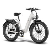FAFREES F26 Rover 26×4.0 All-Terrain-E-Bike mit 960-Wh-Akku 1 St