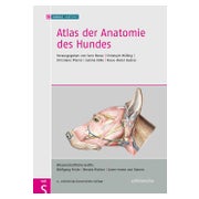 Atlas der Anatomie des Hundes 1 St