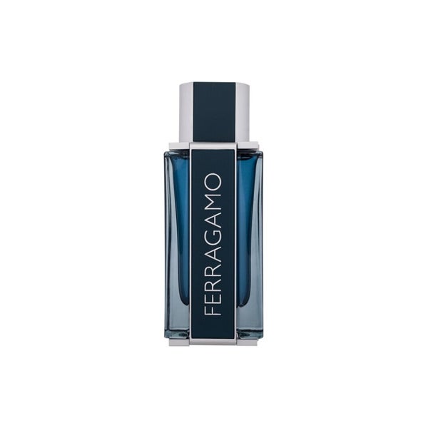 Ferragamo Ferragamo Intensives Leder