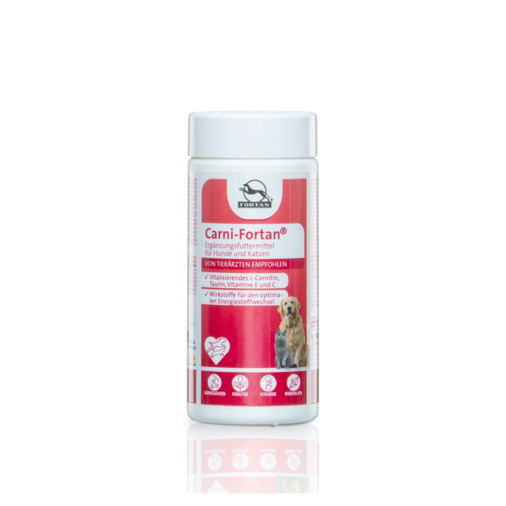 Carni-Fortan Pulver –  mit L-Carnitin & Taurin 80 g
