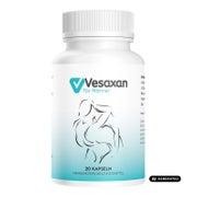 Vesaxan | Mittel für Männer | Rezeptfrei | Hochdosiert 20 St 20 St