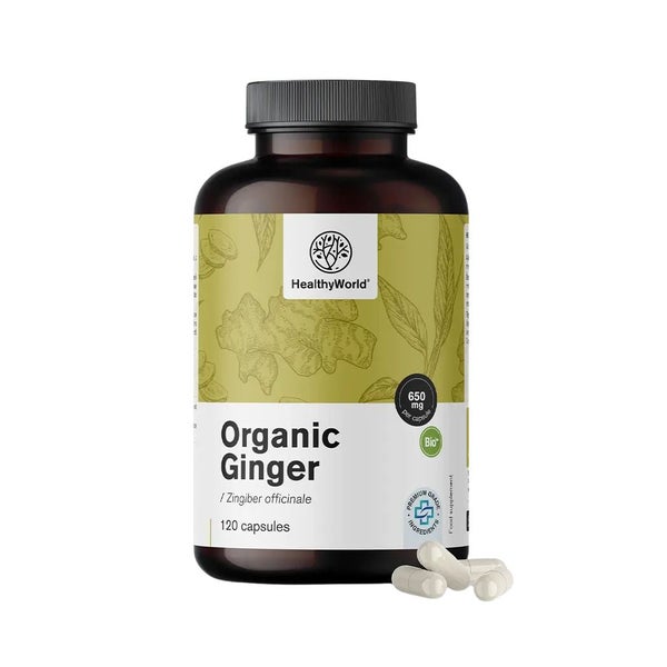 HealthyWorld BIO Ingwer 650 mg 120 St