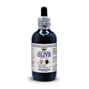Olive Alkoholfrei Flüssigextrakt 1 St