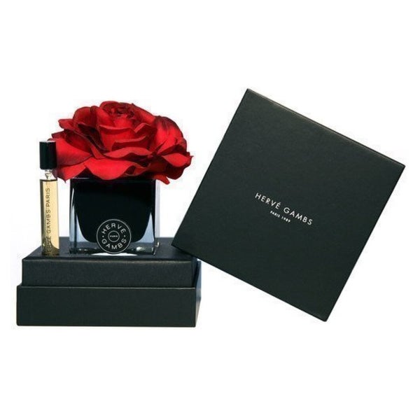 Set : Ecorce Fauve Room Spray 10ml + Black Couture Flower Porzellan Aroma Reed Diffuser Schwarz 0,01 l