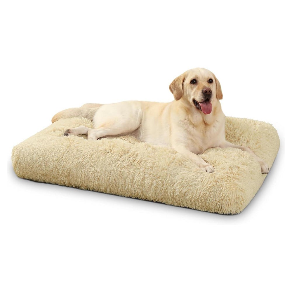 Hundebett Plüsch waschbar 90x60cm Beige L 90 x B 60 x H 8 cm 1 St