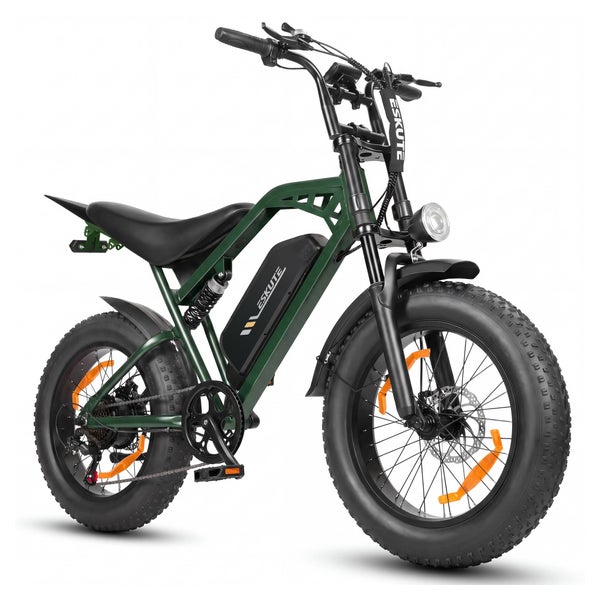 ESKUTE V202 Offroad-E-Bike, 48V 20,8Ah Akku 1 St