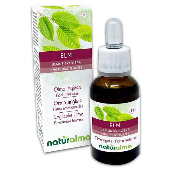Naturalma Englische Ulme Ulmus procera Tropfen 30 ml