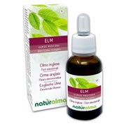 Naturalma Englische Ulme Ulmus procera Tropfen 30 ml