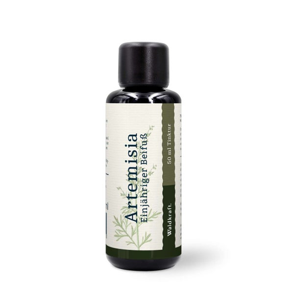 Artemisia - Einjähriger Beifuß (Alkohol-Auszug) - 100ml 0.1 l
