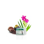 DogoMini 30 g