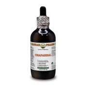 Chaparral Alkoholfrei Flüssigextrakt 1 St