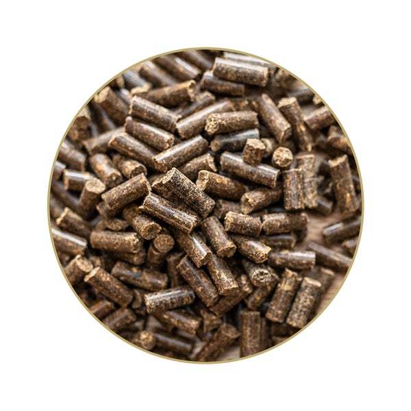 Glucogard für Pferde 25 kg