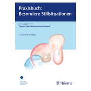Praxisbuch: Besondere Stillsituationen 1 St