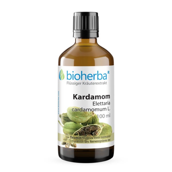 Kardamom Extrakt Tropfen 100 ml