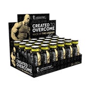 Kevin Levrone Scatterbrain Shot 24xExotic 120 ml