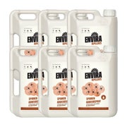 Envira Spinnen Abwehrspray im Vorteilspack