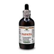 Papaya Alkoholfrei Flüssigextrakt 1 St