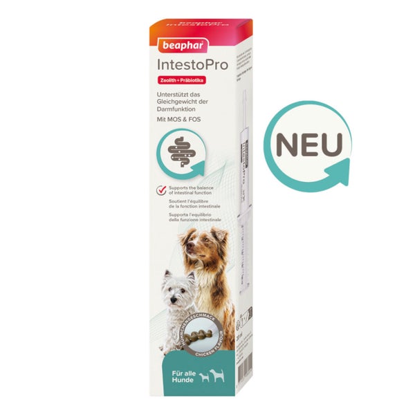 Beaphar IntestoPro Paste für Hunde - Unterstützt das Gleichgewicht der Darmfunktion - 2x 20 ml 2X20 ml