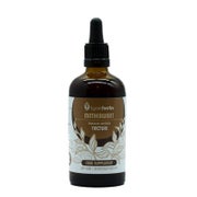 Mutterkraut Tinktur 1: 5 (100 ml) 100 ml