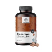 HealthyWorld Zimt mit Chrom und Zink 240 St