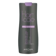 POSTQUAM HAARPFLEGE SPEZIFISCHES SHAMPOO GLANZ & GLÄTTE 500 ML