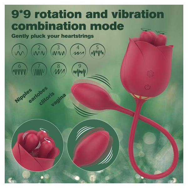 RO CLEVER PLACE - Vibrator mit Vibro Ei 1 St