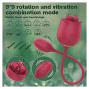 RO CLEVER PLACE - Vibrator mit Vibro Ei 1 St