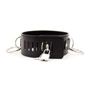 3 Ring Neck Collar 1 St