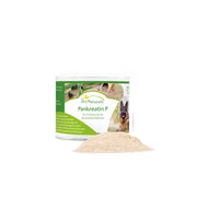 Pankreatin P 100 g