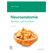Neuroanatomie 1 St