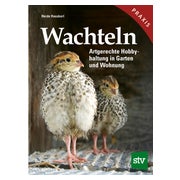 Wachteln