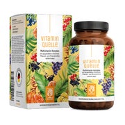 Produktabbildung: Multivitamin-Komplex mit Vitaminen, Pflanzen- und Mineralstoffen - VITAMINQUELLE - 90 vegane Kapseln - NATURTREU® 90 St